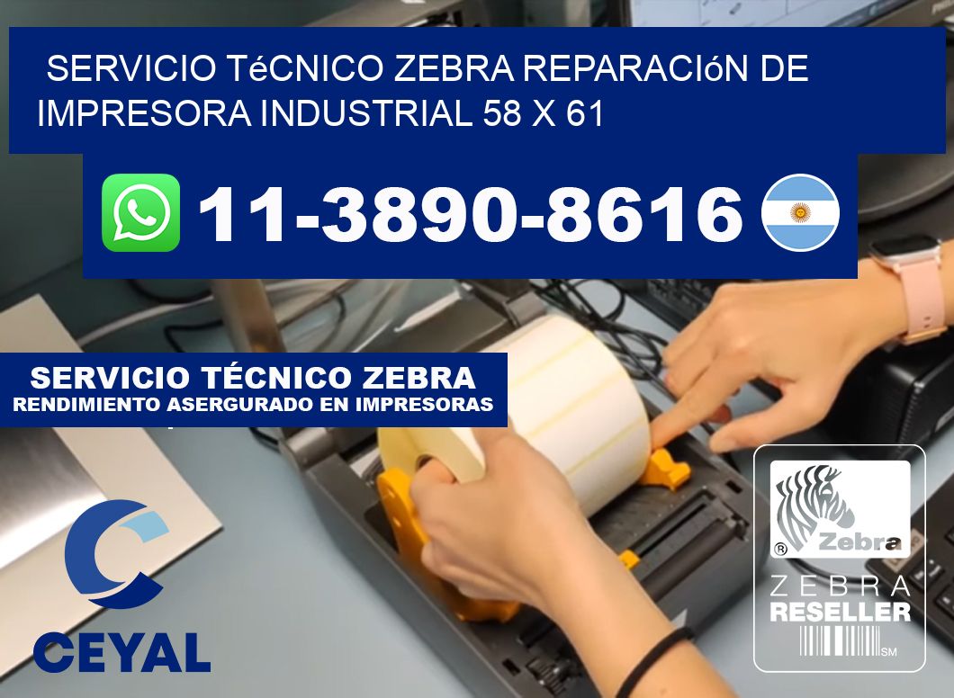Servicio Técnico Zebra Reparación de Impresora Industrial 58 x 61