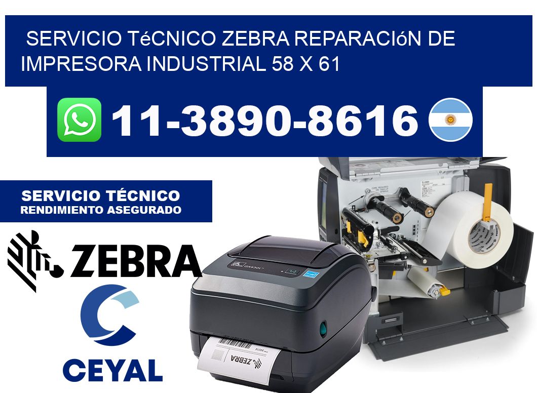 Servicio Técnico Zebra Reparación de Impresora Industrial 58 x 61