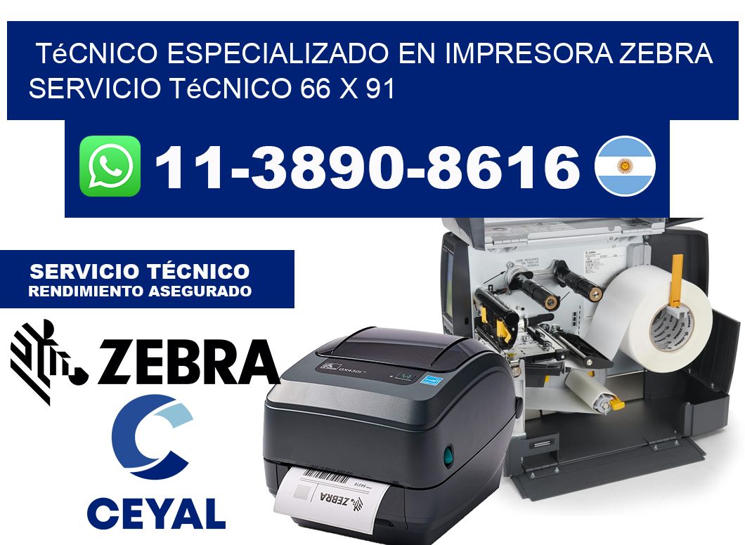 Técnico Especializado en Impresora Zebra Servicio Técnico 66 x 91