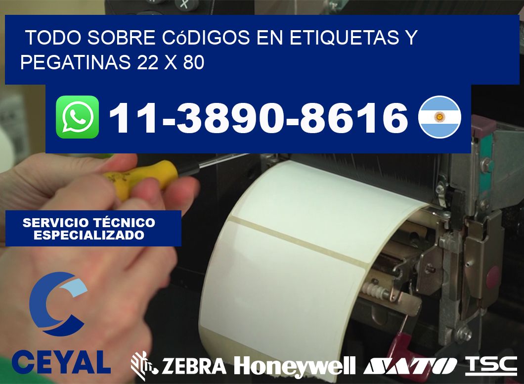 Todo sobre códigos en etiquetas y pegatinas 22 x 80