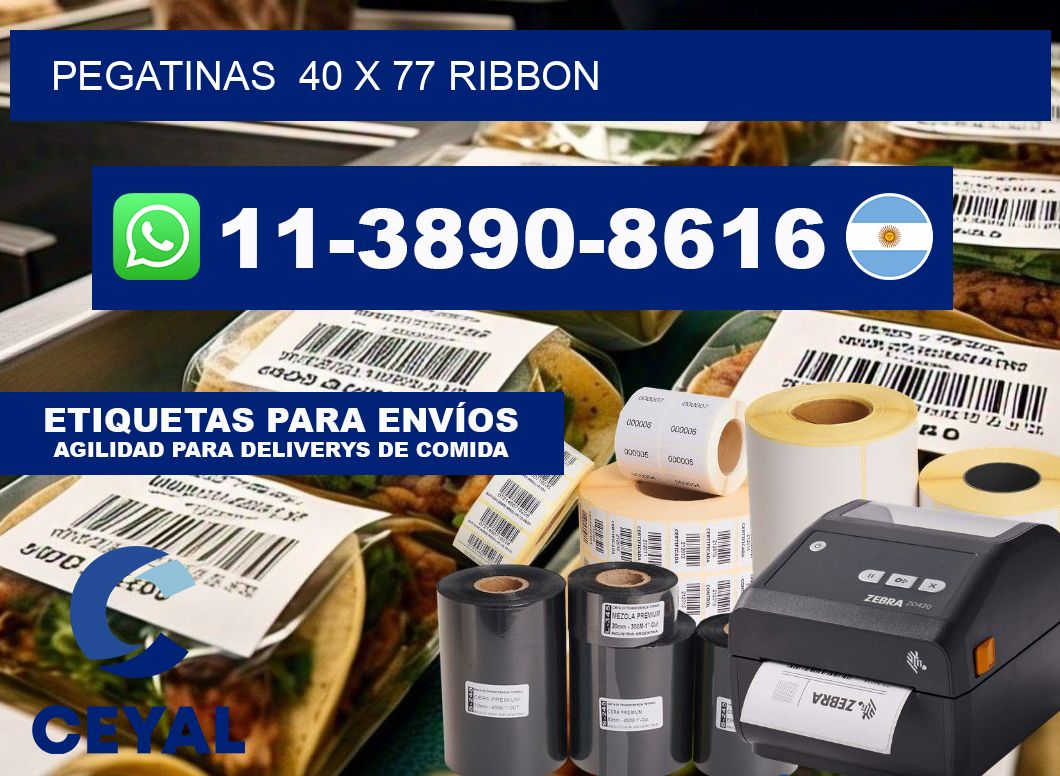 pegatinas  40 x 77 ribbon