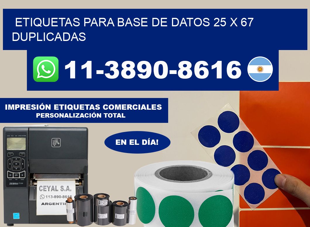 etiquetas para base de datos 25 x 67 duplicadas