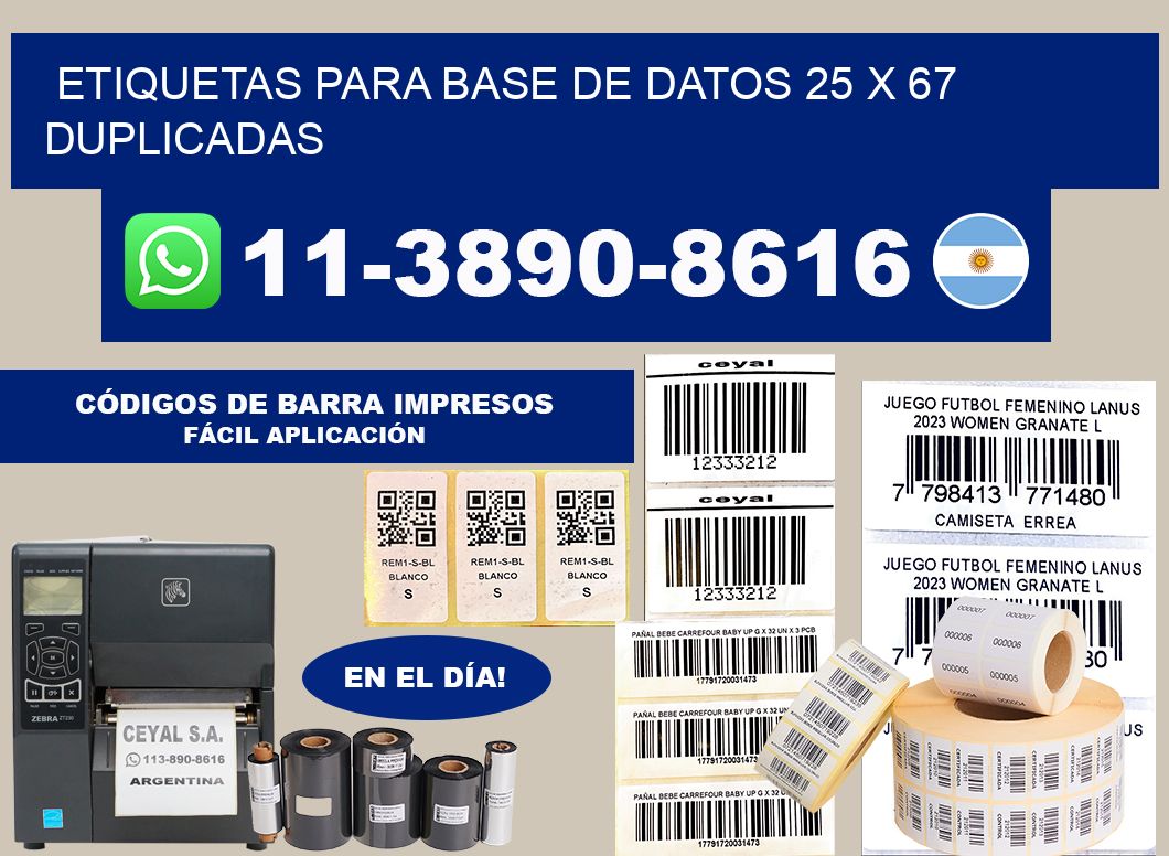 etiquetas para base de datos 25 x 67 duplicadas