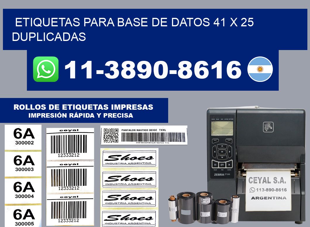 etiquetas para base de datos 41 x 25 duplicadas