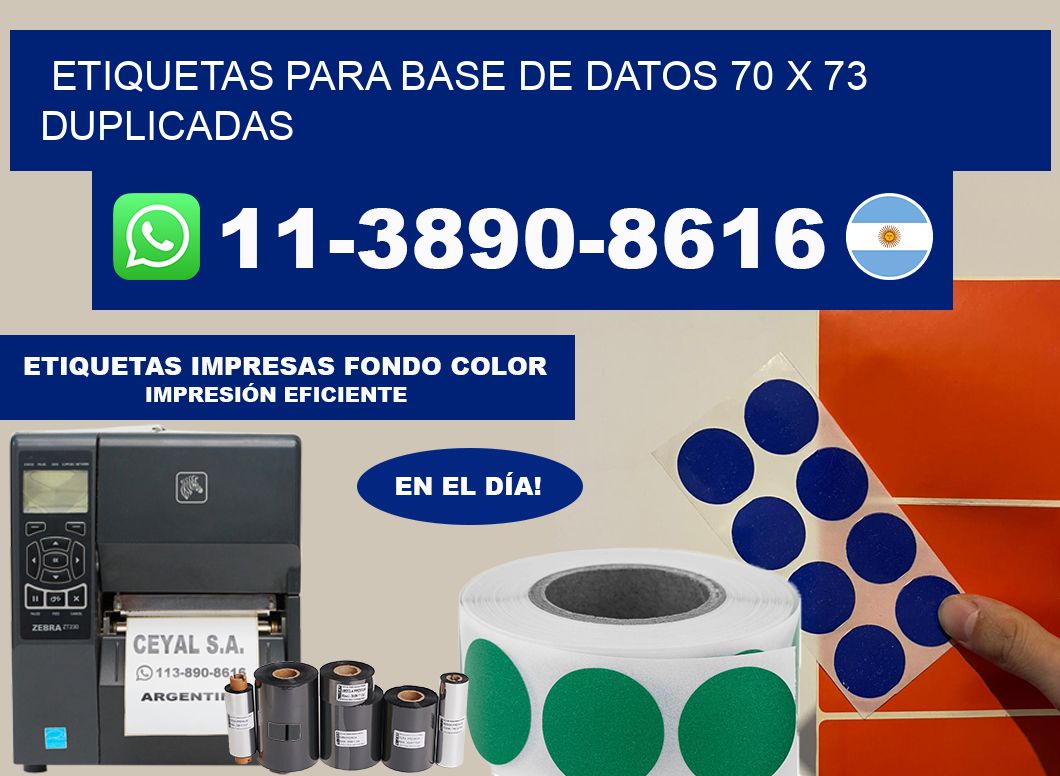 etiquetas para base de datos 70 x 73 duplicadas