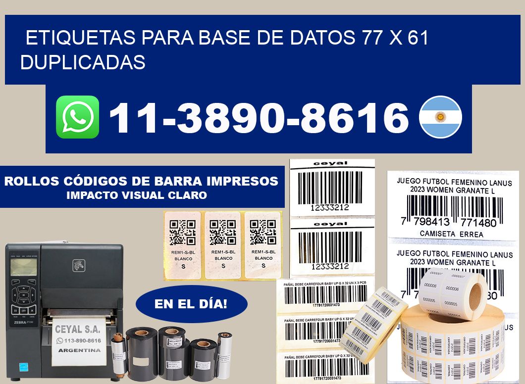 etiquetas para base de datos 77 x 61 duplicadas