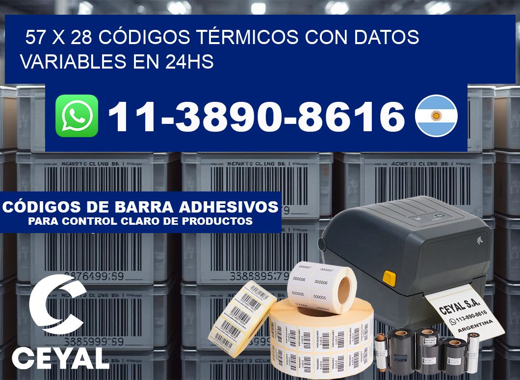 57 x 28 CÓDIGOS TÉRMICOS CON DATOS VARIABLES EN 24HS